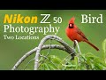 Nikon Z50 • Bird Photography at Two Locations