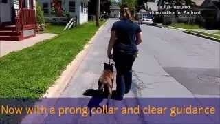 Diesels First Structured Walk