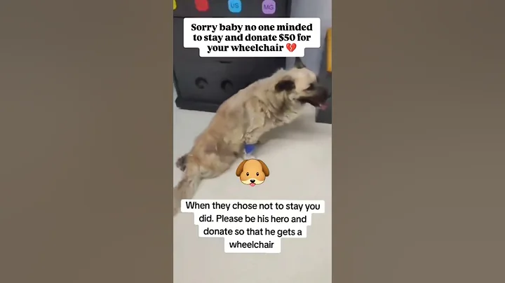 #fyp #foryou #foryoupage #viral #trending #shorts #youtubeshorts #reels #explore#dogs