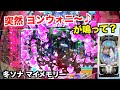 順調に当たったと思ったのに‥結果は！？冬ソナ マイメモリー ホール実践【パチンコ 冬のソナタ】