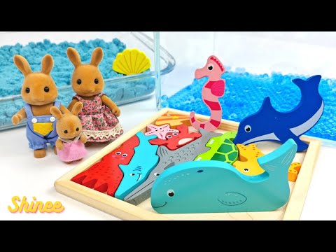 Explore Sea Animals with the Rabbit Family: Fun Facts u0026 Puzzles! Shinee