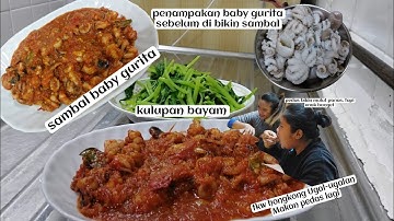 TKW UGAL-UGALAN MAKAN PEDAS ‼️ SAMBAL BABY GURITA PEDAS DOWER KULUPAN BAYAM