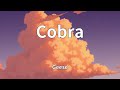 Geese Cobra Lyrics