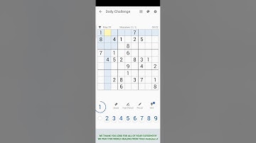 29 MAY 2021 - SUDOKU DAILY CHALLENGE