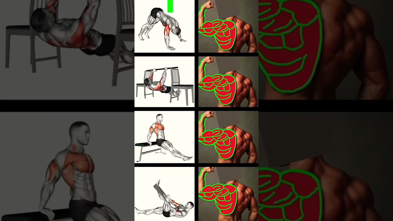 Workout at 🏡 Without Equipment 🏋️‍♂️ 