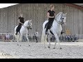 Pas de deux avec anas et florence   ecurie richard lledo