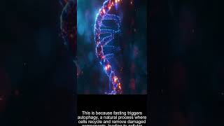 How intermittent fasting affects telomere length and cellular regeneration #shorts #biohacking