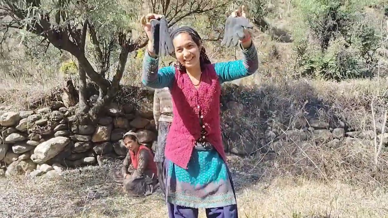 रोजगार पर बनी दो कलर की चाय और प्याज के पौधों में डाली दवाई 🤗