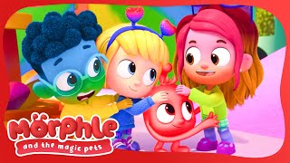 Rainbow Pursuit | Morphle and the Magic Pets | Available on Disney+ and Disney Jr by Moonbug Kids - Celebrating Diversity 26,908 views 3 weeks ago 7 minutes, 7 seconds