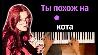 🔥 Хит TIkTok | zhanulka - ты похож на кота ● караоке | PIANO_KARAOKE ● ᴴᴰ + НОТЫ & MIDI