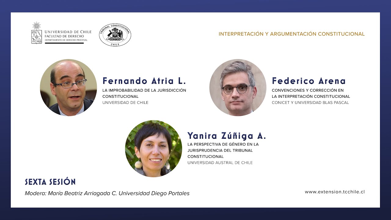 SEMINARIO INTERNACIONAL: INTERPRETACIÓN Y ARGUMENTACIÓN CONSTITUCIONAL (Sexta sesión)