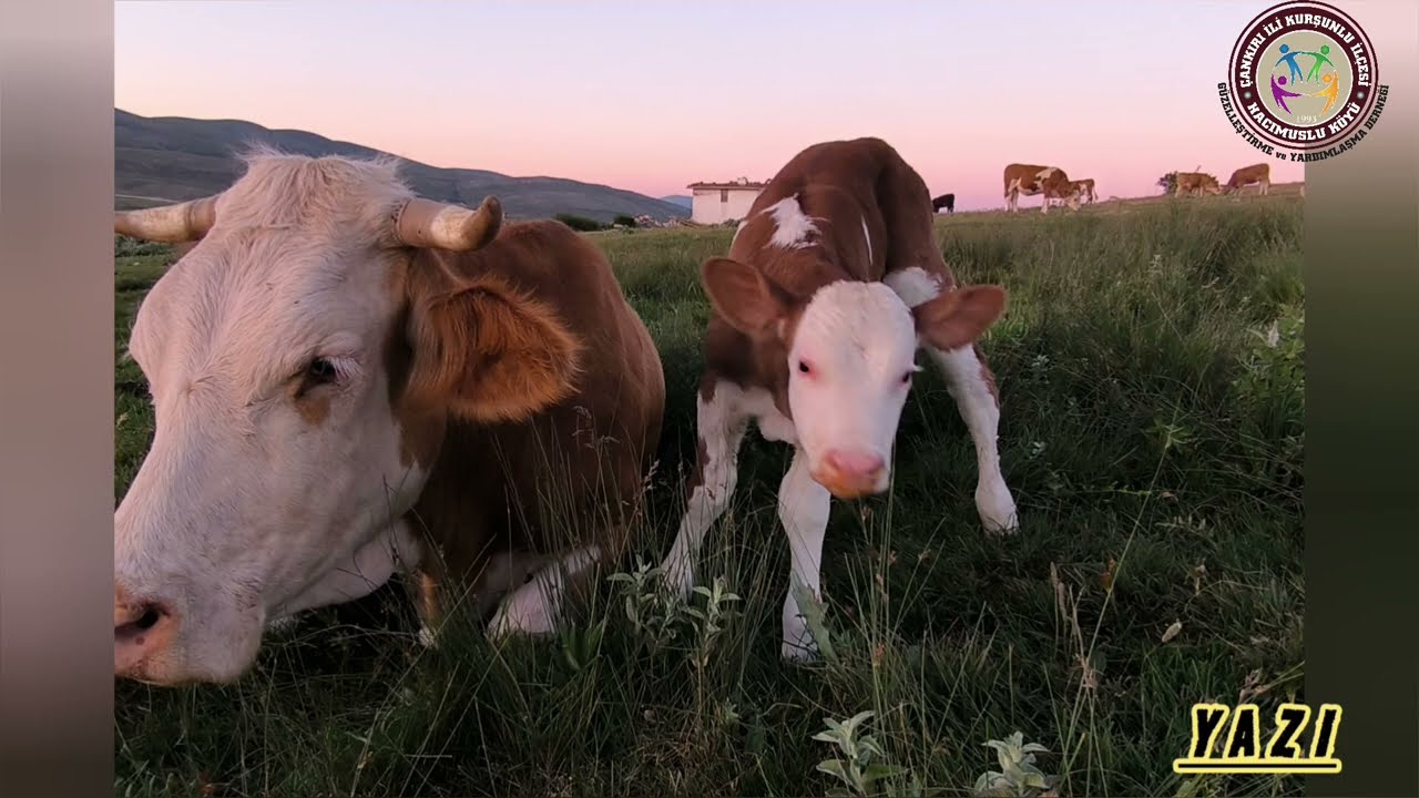 HACIMUSLU KÖYÜ DERNEĞİ