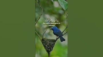 من أروع ما جُود.. تلاوة من سورة يوسف | عبدالعزيز سحيم #quran