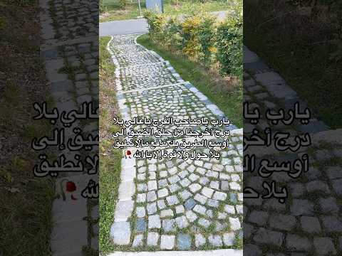 اللهم ياصاحب الفرج ياعالي بلا درج يا من شق البحر لموسى حتى خرج أخرجنا من الضيق إلى الفرج 