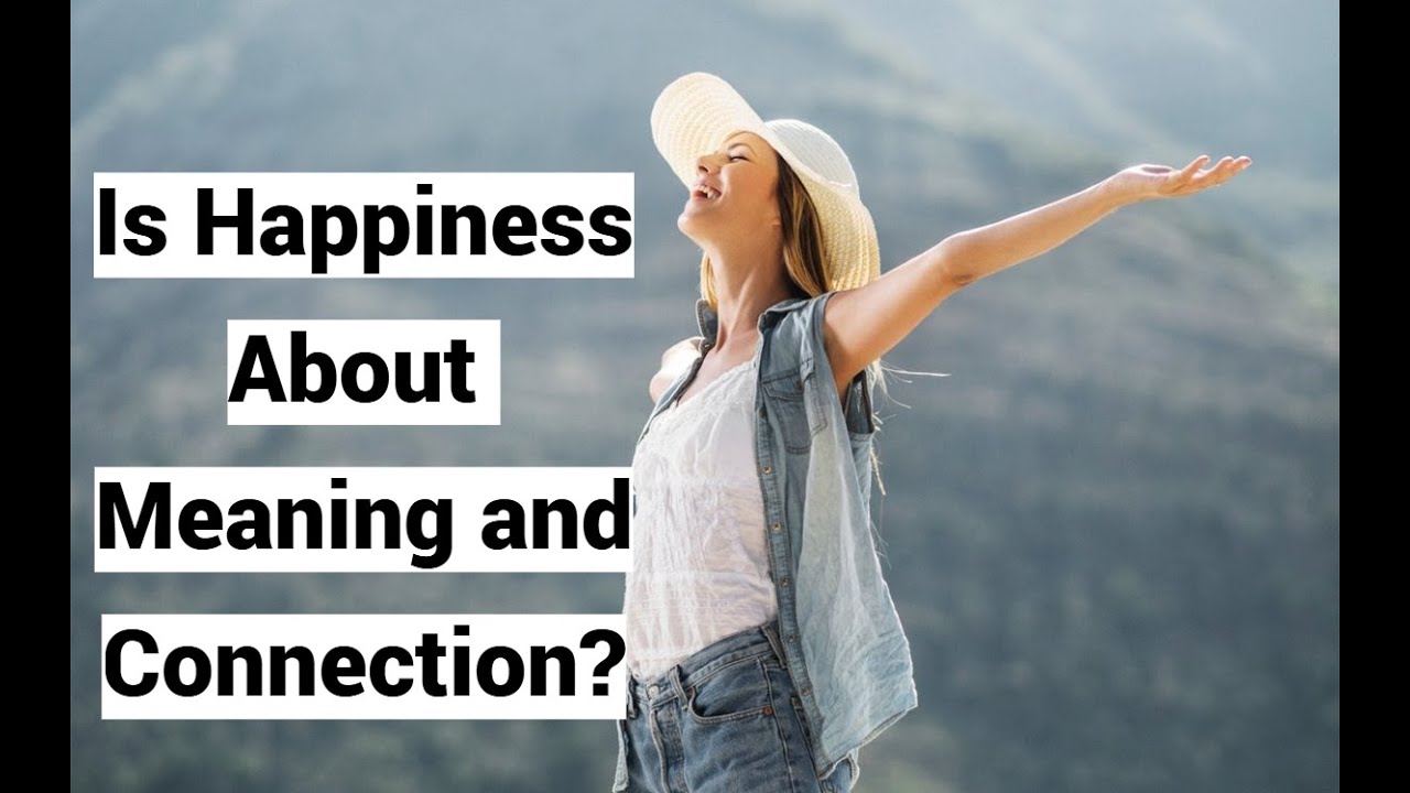 Is Happiness About Meaning and Connection?