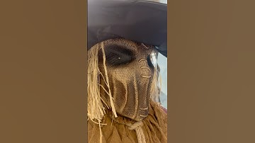 Sinister StrawMan Animatronic at Spirit Halloween. #scarecrow #animatronic #scary #noton #creepy