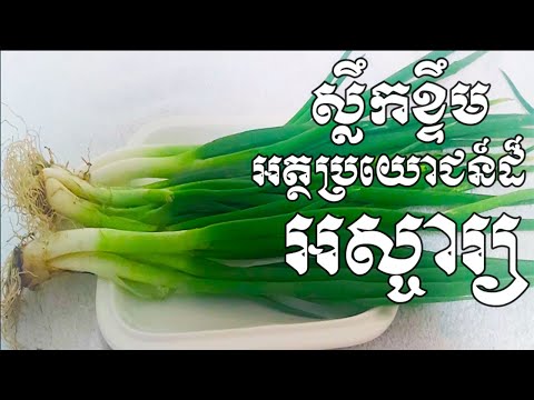 បរិភោគស្លឹកខ្ទឹមផ្តល់នៅគុណប្រយោជន៍ដ៏អស្ចារ្យ១២យ៉ាងសំរាប់សុខភាព - Health Inform