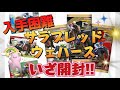 入手♡できました! [サラブレッドホースコレクション ツインウエハース]大量購入!推し出る!?
