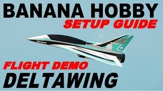 Banana Hobby DELTAWING 50mm EDFJet Flight Demo and Setup Guide By: RCINFORMER