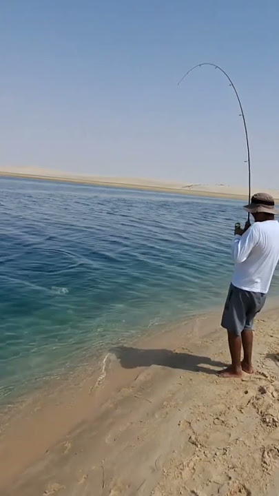Angel fish caught in shore fishing