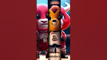 The Cutest NBA Mascots of all time #ai 😍 😍 😍