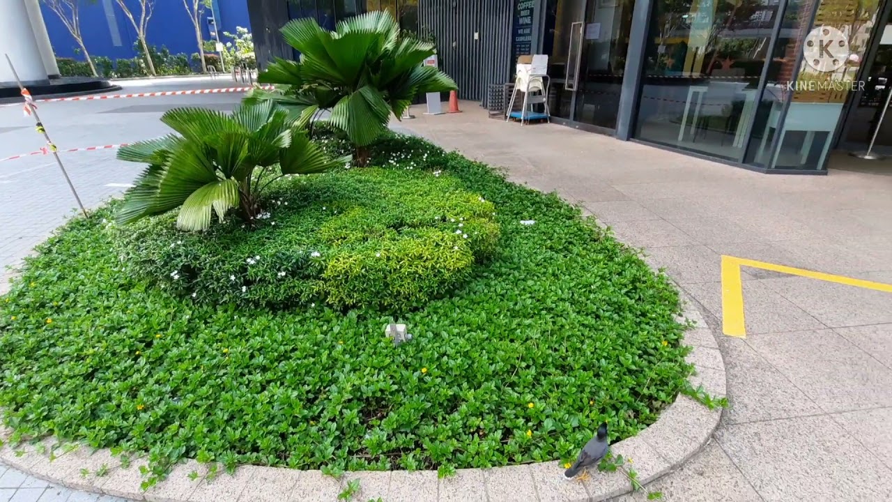 Sunday morning at Alexandra Central/Queensway