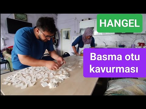 Hangele gelene basma otu kavurması bedava 