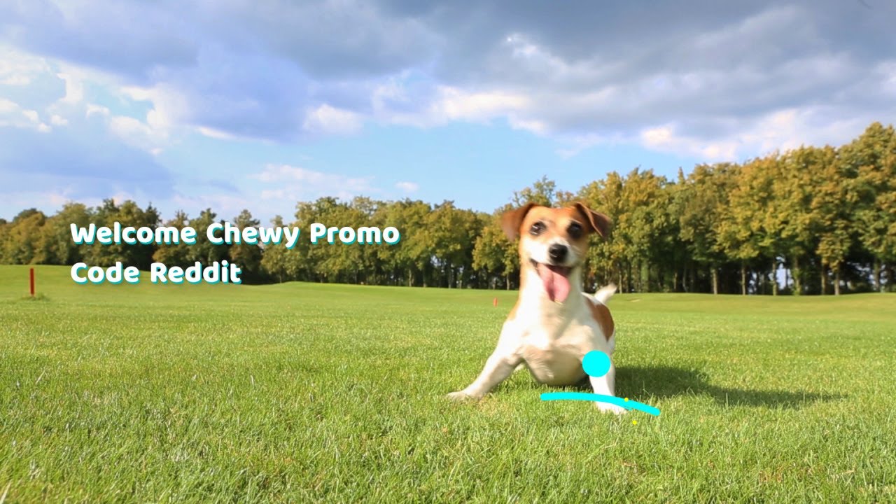 chewy-promo-code-reddit-chewy-promo-code-reddit-2020-youtube