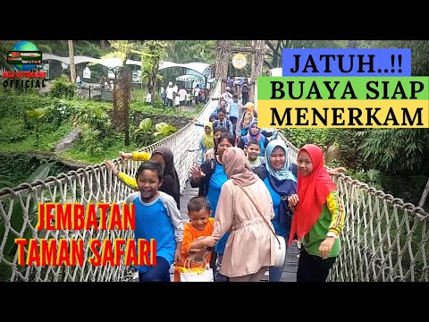 cobain-yuk-jembatan-gantung-paling-extrim-di-taman-safari-ii-tk---al-fikr-balongbendo-sidoarjo