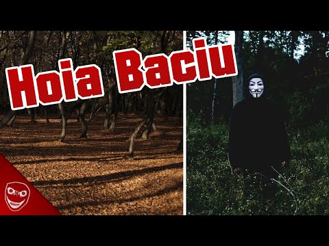 Video: Der Verfluchte Wald Hoya-Bachu - Alternative Ansicht