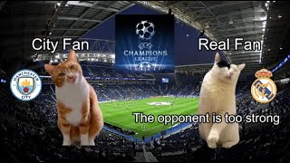 CAT MEMES Manchester City vs Real Madrid Champions League 2nd leg