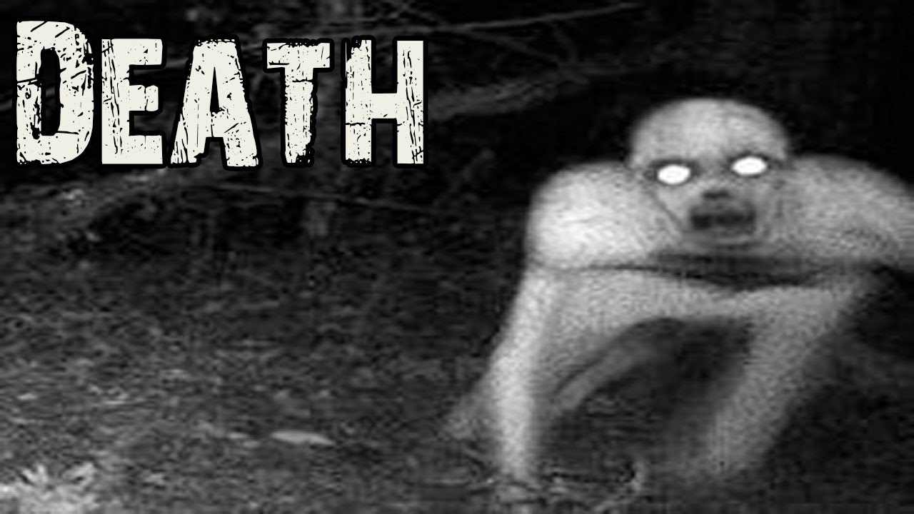 You vs The Rake - Could You Survive and Defeat This Creepypasta Horror  Monster 