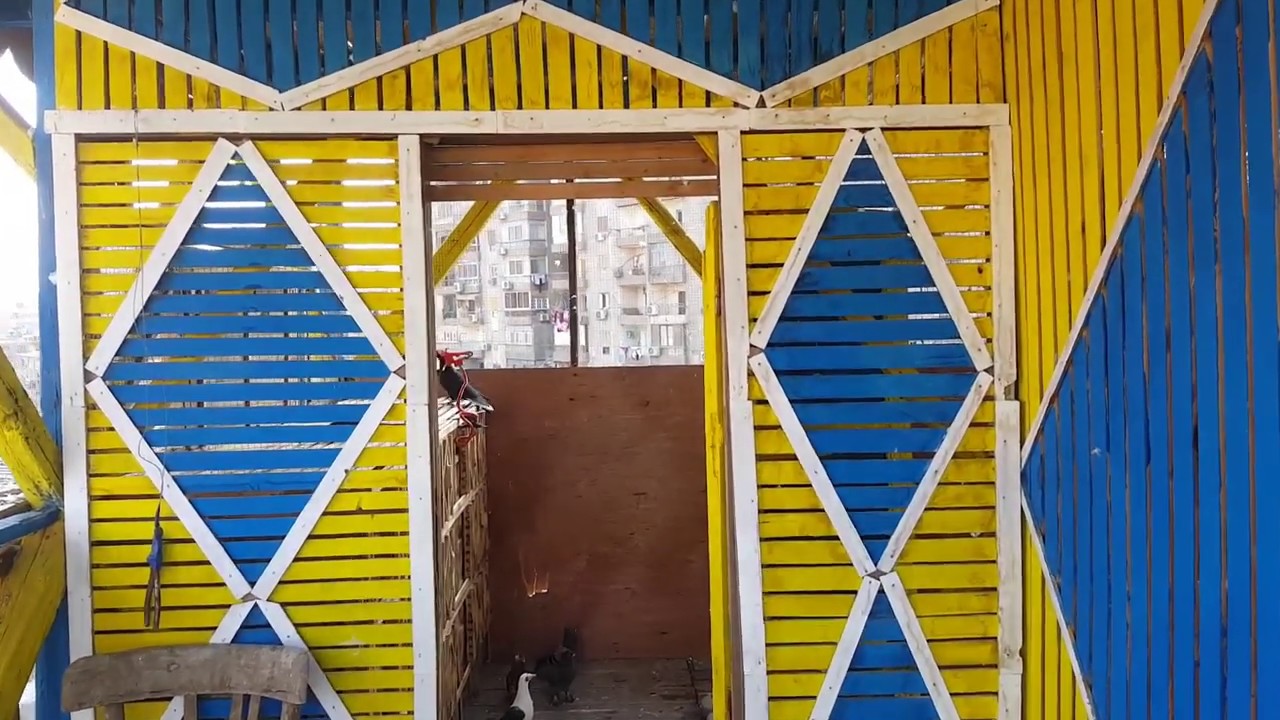 طريقة نش الزغلول من الوفت وطريقه التعامل مع الزغليل بشكل صحيح وعلاج ووقايه