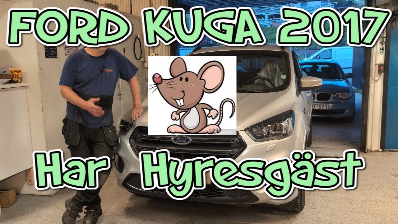 Ford Kuga 2017 med hyresgäst. Supporta kanalen Swisha 1kr 0707654651