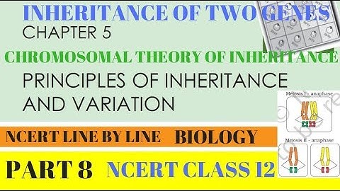 Part-8 PRINCIPLES OF INHERITANCE  (CHROMOSOMAL THEORY) chapter-5 NCERT class 12th Biology