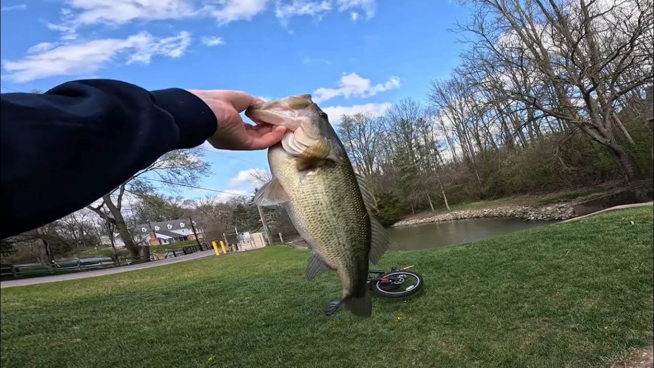 Spring Bass Fishing Locally Pt. 1