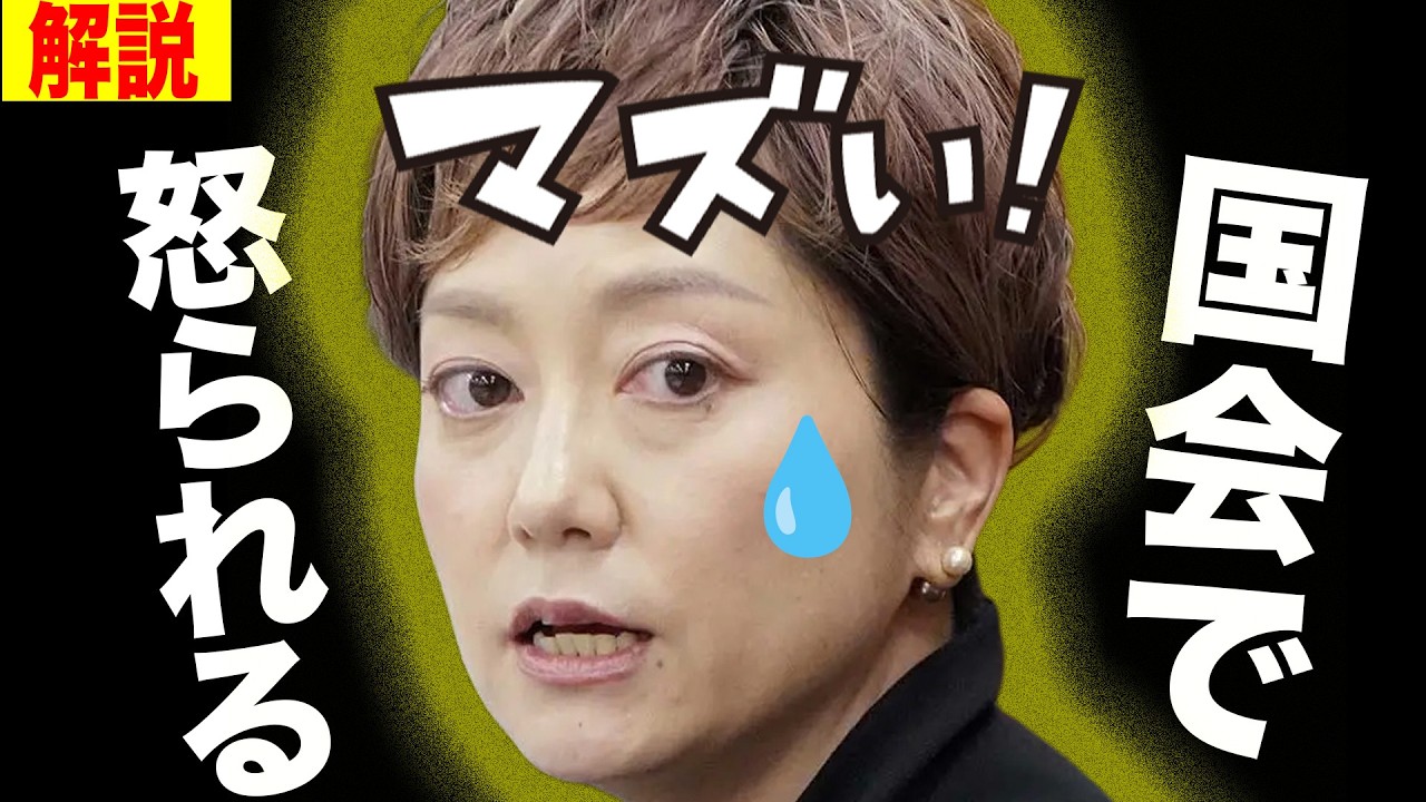 「恥を知れ！」奥田ふみよの暴走に松沢議員がブチギレ？国会が凍りついた瞬間がヤバすぎる…