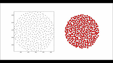 Morphogenetic Swarm Chemistry (Class D)