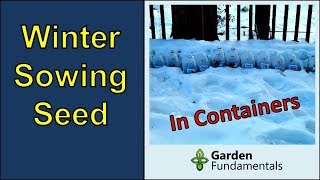 Winter sowing seeds in containers (for fast germination)