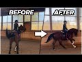 FULL TRAINING SESSION ON A YOUNG HORSE - WHAT TO DO (Thoroughbred Horses) OTTB Series