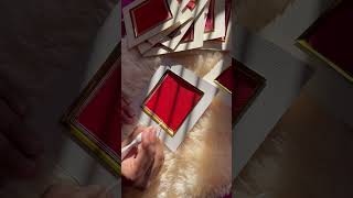 Aipan Frames 66 Inch