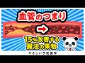 【医師解説】血管をツルツルにしてつまりを15%改善させた魔法の果実5選