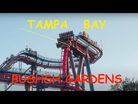 Wideo: Najlepsze rzeczy do zrobienia w Busch Gardens Tampa Bay