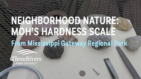 Neighborhood Nature - Moh