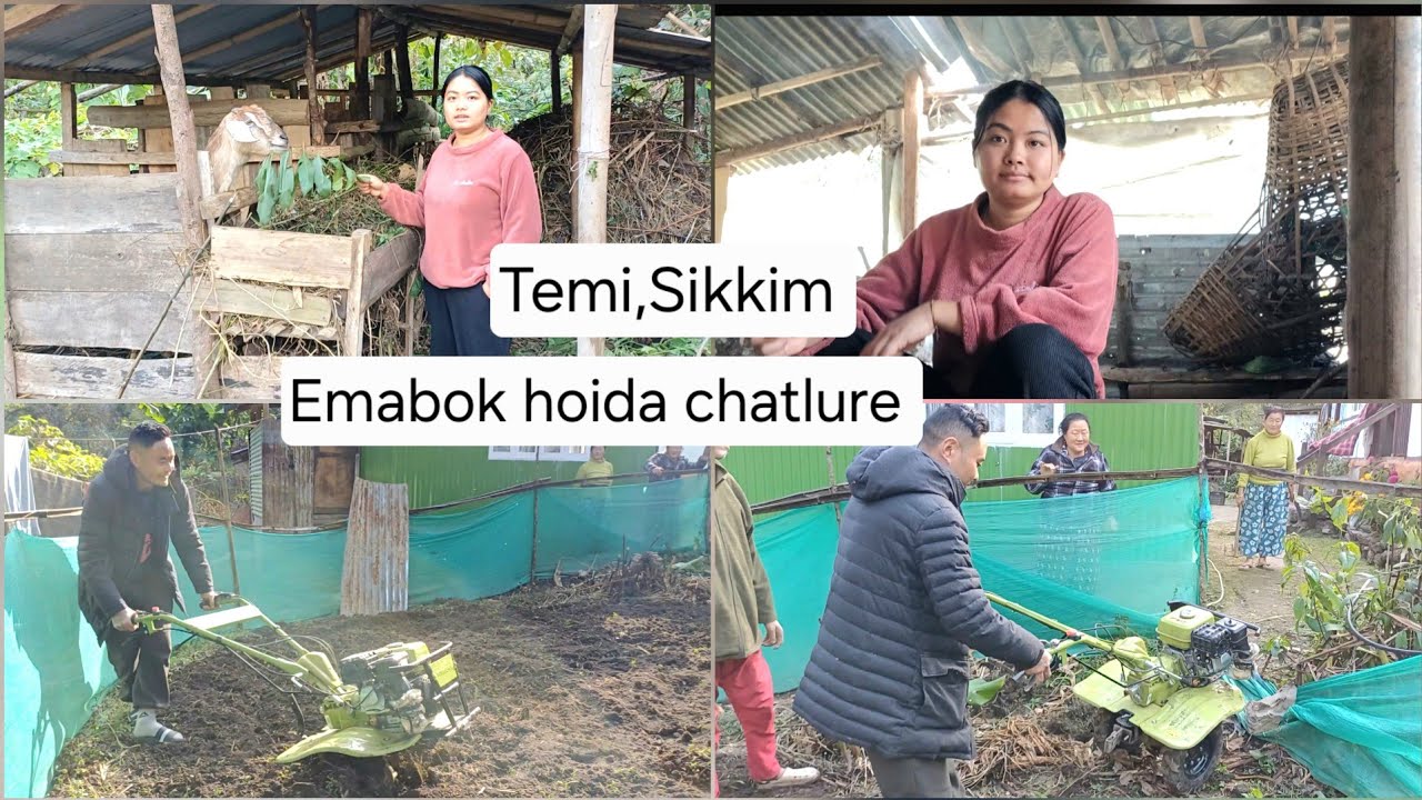 Temi Tarku, Sikkim vlog. Emabok ka ene hoida chatlubagi.