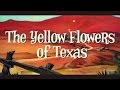 小島麻由美 Kojima Mayumi - テキサスの黄色い花 The Yellow Flowers of Texas (Official Music Video)