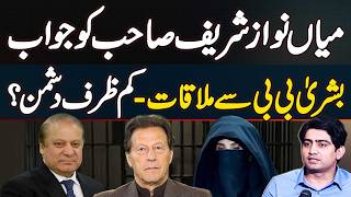 Reply To Mian Nawaz Sharif Talk - Qoum Ko Bewakuf Mat Banaen - Bushra Bibi Se Family Ki Mulaqat