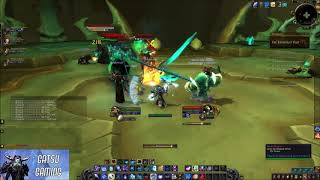 Theater of Pain - Shadowlands Alpha - Frost Mage PoV