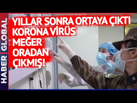 Korona Virüs Meğer Oradan Çıkmış! Yıllar Sonra Ortaya Çıkan Gerçekle İlgili Çin'den Açıklama Geldi