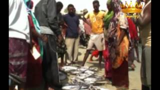 News -- Warka (Sadaq) 'Royal TV' 16/06/2012
